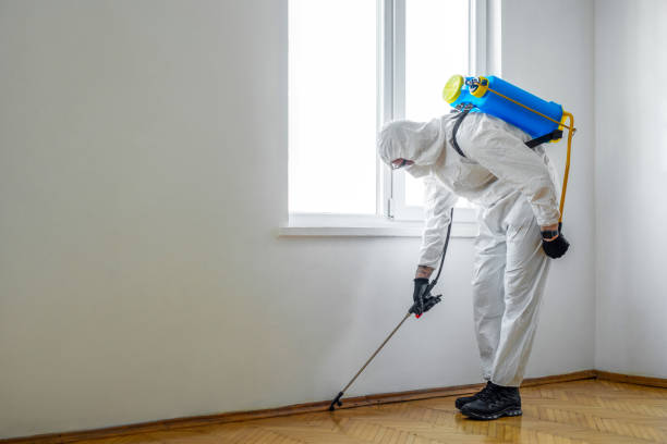 Best Cockroach Control Services  in Pioneer, OH