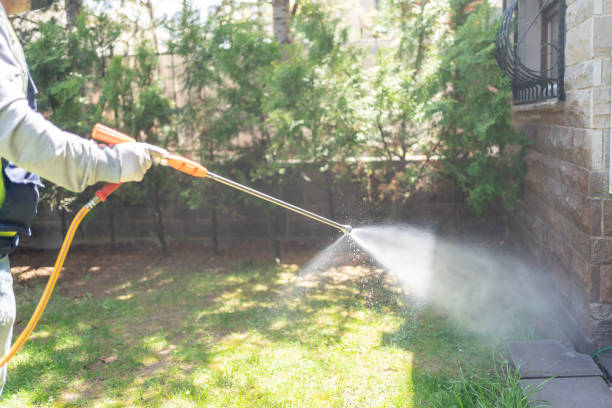Best Flea Control Services  in Pioneer, OH