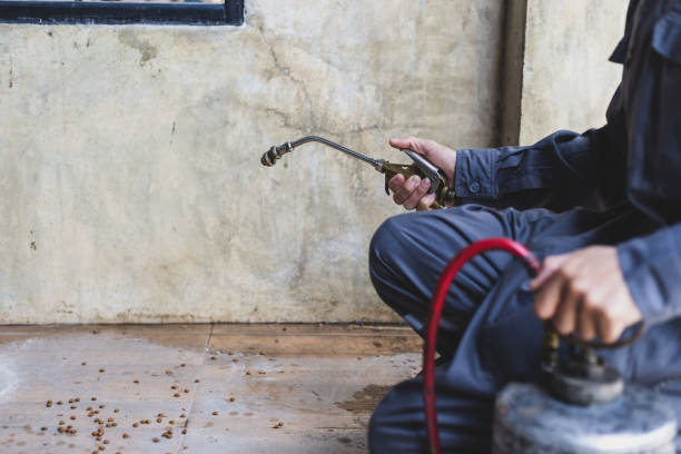 Best Pest Prevention Services  in Pioneer, OH