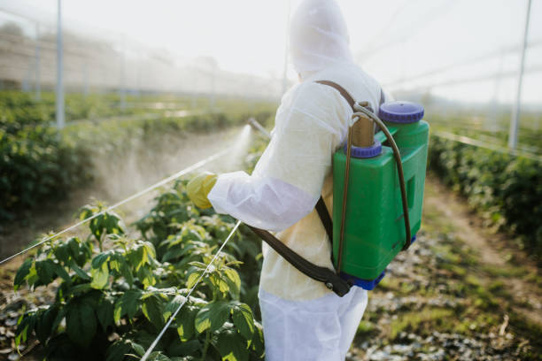 Best Pest Control Treatment  in Pioneer, OH